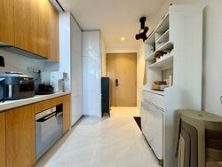 Peak Residence (D11), Condominium #501665681